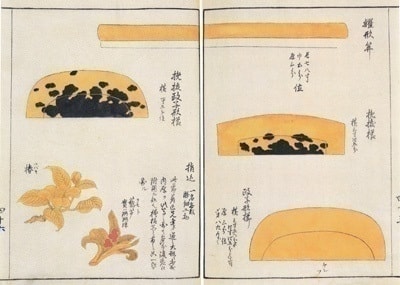 べっ甲、ベッ甲イソガイ、亀戸、浅草、鼈甲、伝統工芸、玳瑁図説、かんざし、
